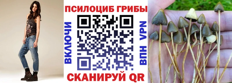 Псилоцибиновые грибы мухоморы  Купить закладки  Ленск 